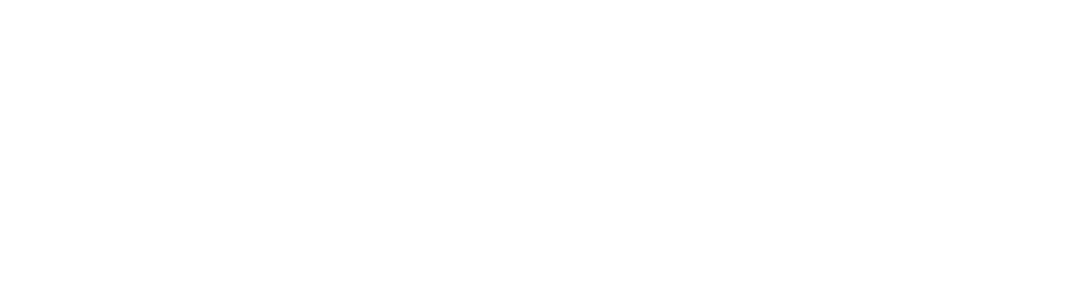 SINAPSE